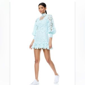 Alice and Olivia Yazmin Dress